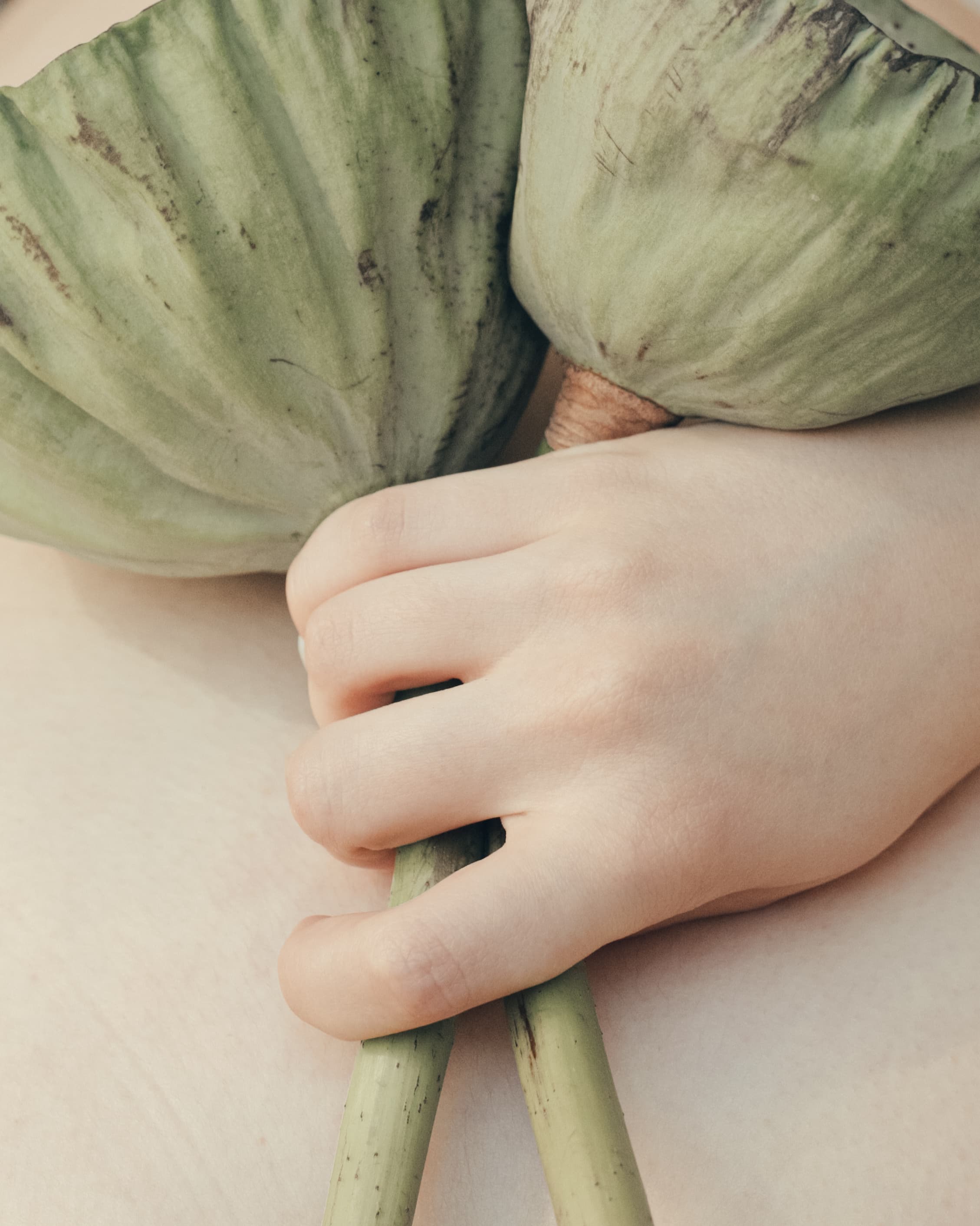 Фотография из портфолио